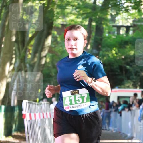 22.09.2024 - 32. Volkslauf durch das schöne Alstertal H.Heesch http://msf.ph/oto/7113123 22.09.2024 10:58:08 Ziel 4100, 4157 meine-sportfotos.de