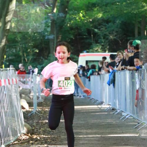 22.09.2024 - 32. Volkslauf durch das schöne Alstertal H.Heesch http://msf.ph/oto/7113138 22.09.2024 10:58:21 Ziel 4027 meine-sportfotos.de
