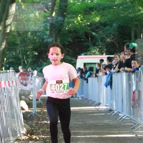 22.09.2024 - 32. Volkslauf durch das schöne Alstertal H.Heesch http://msf.ph/oto/7113145 22.09.2024 10:58:21 Ziel 4027 meine-sportfotos.de
