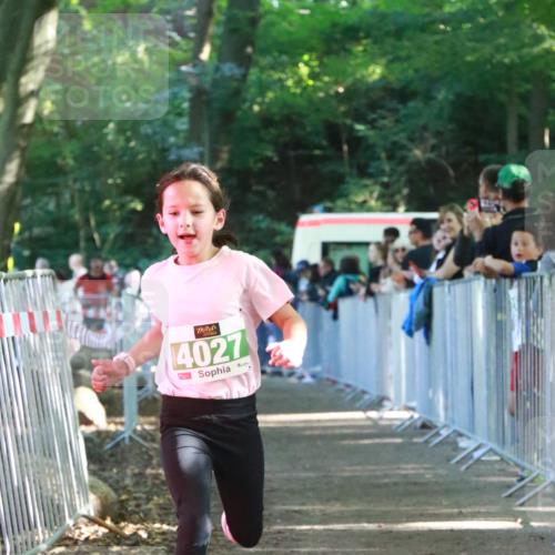 22.09.2024 - 32. Volkslauf durch das schöne Alstertal H.Heesch http://msf.ph/oto/7113150 22.09.2024 10:58:21 Ziel 4027 meine-sportfotos.de