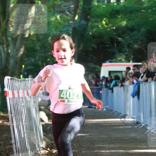 22.09.2024 - 32. Volkslauf durch das schöne Alstertal H.Heesch http://msf.ph/oto/7113160 22.09.2024 10:58:22 Ziel 4027 meine-sportfotos.de