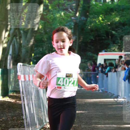 22.09.2024 - 32. Volkslauf durch das schöne Alstertal H.Heesch http://msf.ph/oto/7113168 22.09.2024 10:58:22 Ziel 4027 meine-sportfotos.de