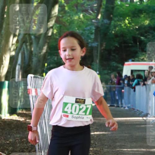 22.09.2024 - 32. Volkslauf durch das schöne Alstertal H.Heesch http://msf.ph/oto/7113175 22.09.2024 10:58:22 Ziel 4027 meine-sportfotos.de
