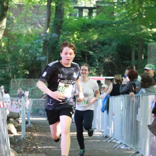 22.09.2024 - 32. Volkslauf durch das schöne Alstertal H.Heesch http://msf.ph/oto/7113248 22.09.2024 10:59:06 Ziel 4067, 4068, 4089 meine-sportfotos.de