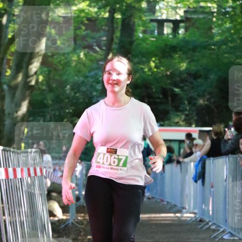 22.09.2024 - 32. Volkslauf durch das schöne Alstertal H.Heesch http://msf.ph/oto/7113281 22.09.2024 10:59:08 Ziel 4067, 4068, 4089 meine-sportfotos.de