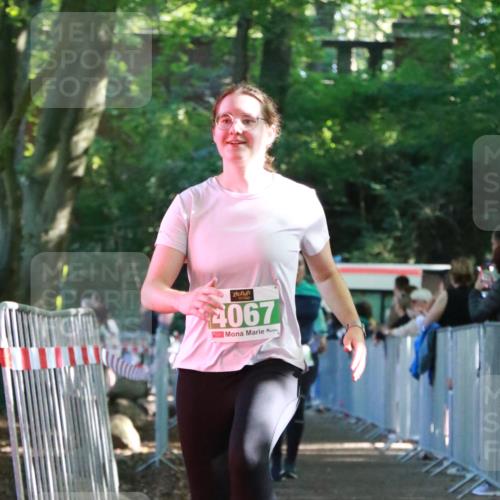 22.09.2024 - 32. Volkslauf durch das schöne Alstertal H.Heesch http://msf.ph/oto/7113291 22.09.2024 10:59:08 Ziel 4067, 4068, 4089 meine-sportfotos.de