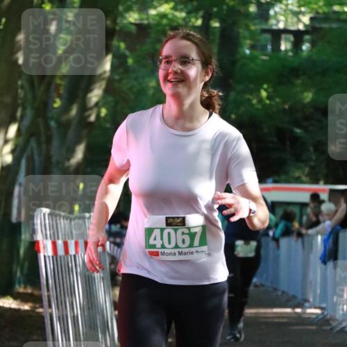 22.09.2024 - 32. Volkslauf durch das schöne Alstertal H.Heesch http://msf.ph/oto/7113306 22.09.2024 10:59:08 Ziel 4067, 4068, 4089 meine-sportfotos.de