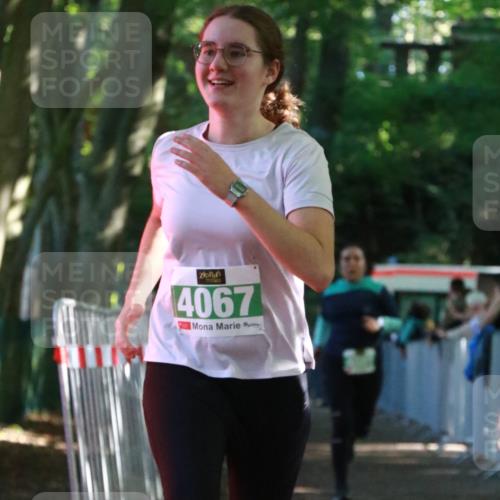 22.09.2024 - 32. Volkslauf durch das schöne Alstertal H.Heesch http://msf.ph/oto/7113311 22.09.2024 10:59:08 Ziel 4067, 4068, 4089 meine-sportfotos.de