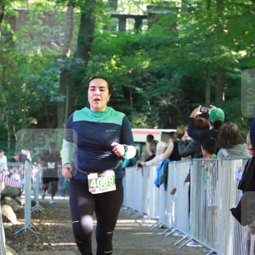 22.09.2024 - 32. Volkslauf durch das schöne Alstertal H.Heesch http://msf.ph/oto/7113320 22.09.2024 10:59:10 Ziel 4067, 4068, 4089 meine-sportfotos.de