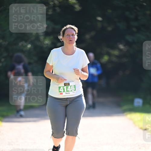 22.09.2024 - 32. Volkslauf durch das schöne Alstertal Dr. Thomas Lammeyer http://msf.ph/oto/7113362 22.09.2024 10:59:09 Laufen 4146, 1 meine-sportfotos.de