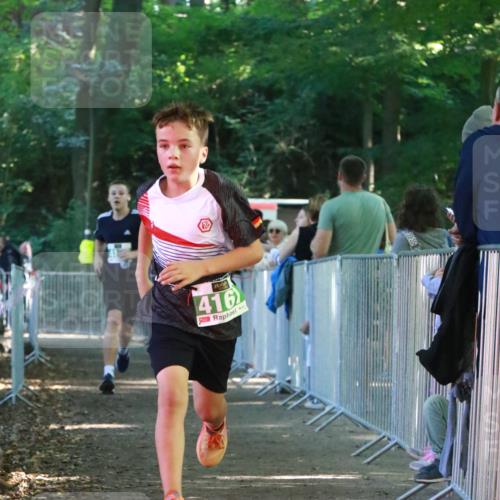 22.09.2024 - 32. Volkslauf durch das schöne Alstertal H.Heesch http://msf.ph/oto/7113425 22.09.2024 10:59:30 Ziel 4112, 4167 meine-sportfotos.de