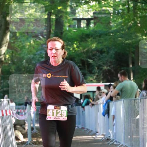 22.09.2024 - 32. Volkslauf durch das schöne Alstertal H.Heesch http://msf.ph/oto/7113493 22.09.2024 10:59:48 Ziel 4010, 4014, 4129 meine-sportfotos.de