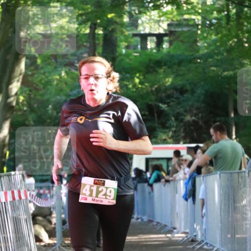 22.09.2024 - 32. Volkslauf durch das schöne Alstertal H.Heesch http://msf.ph/oto/7113499 22.09.2024 10:59:48 Ziel 4010, 4014, 4129 meine-sportfotos.de