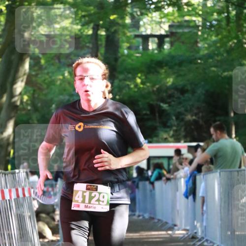 22.09.2024 - 32. Volkslauf durch das schöne Alstertal H.Heesch http://msf.ph/oto/7113503 22.09.2024 10:59:48 Ziel 4010, 4014, 4129 meine-sportfotos.de