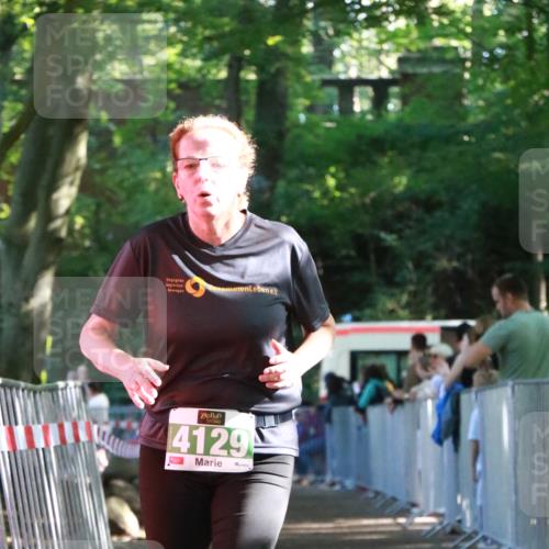 22.09.2024 - 32. Volkslauf durch das schöne Alstertal H.Heesch http://msf.ph/oto/7113509 22.09.2024 10:59:48 Ziel 4010, 4014, 4129 meine-sportfotos.de