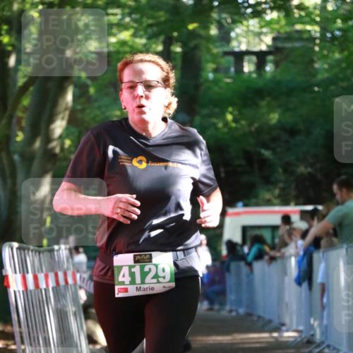 22.09.2024 - 32. Volkslauf durch das schöne Alstertal H.Heesch http://msf.ph/oto/7113519 22.09.2024 10:59:48 Ziel 4010, 4014, 4129 meine-sportfotos.de