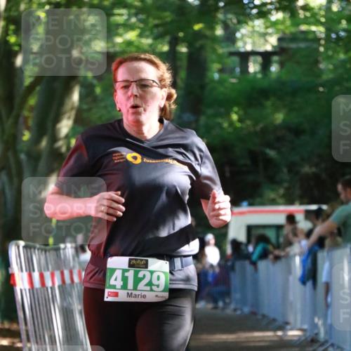 22.09.2024 - 32. Volkslauf durch das schöne Alstertal H.Heesch http://msf.ph/oto/7113529 22.09.2024 10:59:48 Ziel 4010, 4014, 4129 meine-sportfotos.de