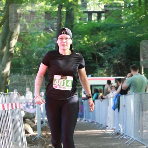 22.09.2024 - 32. Volkslauf durch das schöne Alstertal H.Heesch http://msf.ph/oto/7113541 22.09.2024 10:59:52 Ziel 4014, 4115, 4129 meine-sportfotos.de