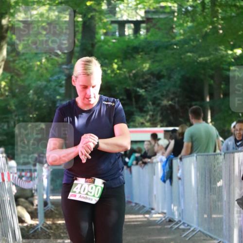22.09.2024 - 32. Volkslauf durch das schöne Alstertal H.Heesch http://msf.ph/oto/7113660 22.09.2024 11:00:06 Ziel 4090 meine-sportfotos.de