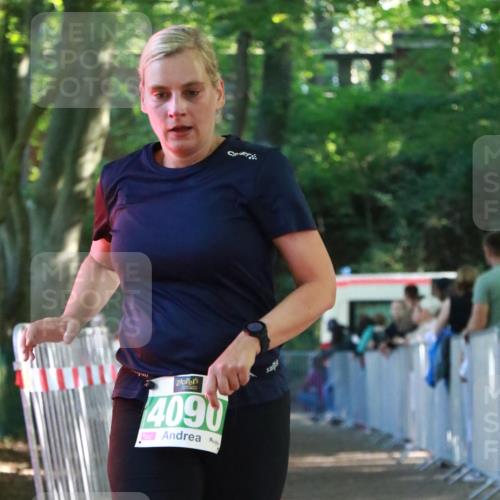 22.09.2024 - 32. Volkslauf durch das schöne Alstertal H.Heesch http://msf.ph/oto/7113705 22.09.2024 11:00:06 Ziel 4090 meine-sportfotos.de