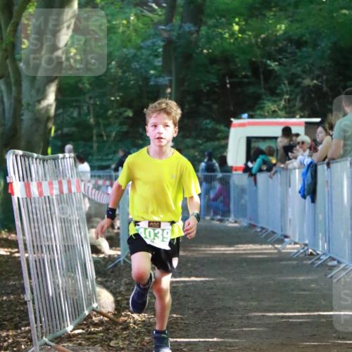 22.09.2024 - 32. Volkslauf durch das schöne Alstertal H.Heesch http://msf.ph/oto/7113715 22.09.2024 11:00:14 Ziel 4039 meine-sportfotos.de