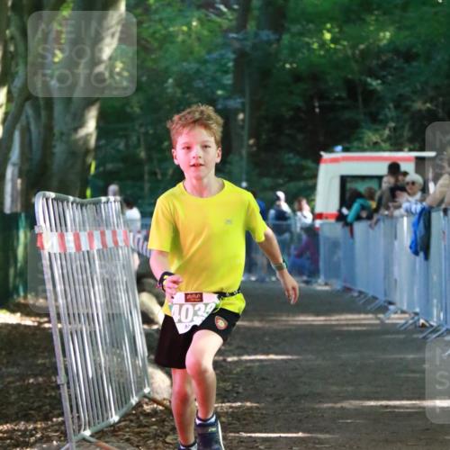 22.09.2024 - 32. Volkslauf durch das schöne Alstertal H.Heesch http://msf.ph/oto/7113743 22.09.2024 11:00:14 Ziel 4039 meine-sportfotos.de