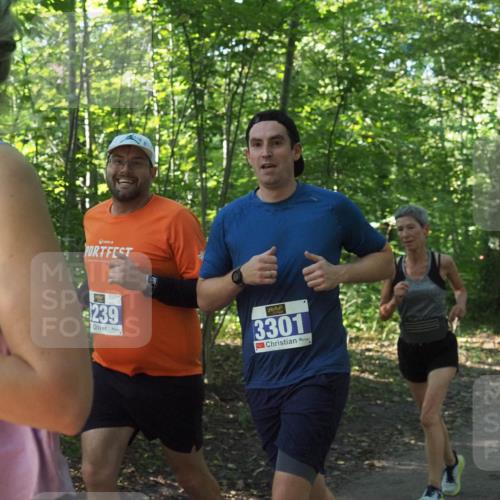 22.09.2024 - 32. Volkslauf durch das schöne Alstertal Miley Keyser http://msf.ph/oto/7134851 22.09.2024 10:52:21 Laufen 239, 3301 meine-sportfotos.de