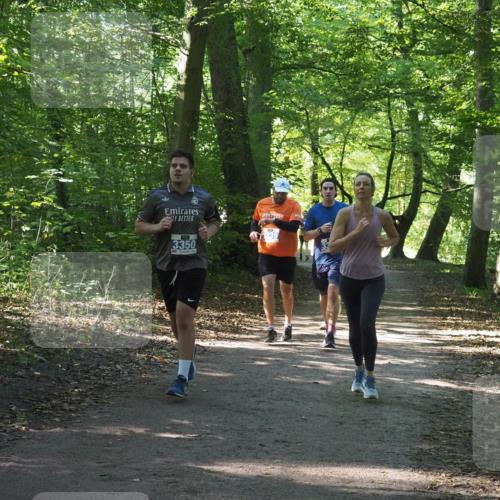22.09.2024 - 32. Volkslauf durch das schöne Alstertal Miley Keyser http://msf.ph/oto/7134854 22.09.2024 10:52:18 Laufen 3350, 3239 meine-sportfotos.de