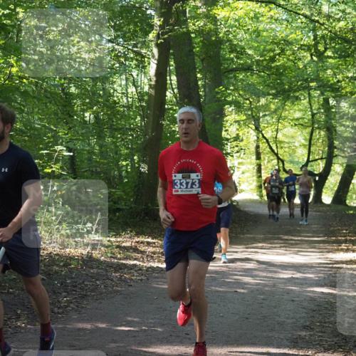 22.09.2024 - 32. Volkslauf durch das schöne Alstertal Miley Keyser http://msf.ph/oto/7134865 22.09.2024 10:52:11 Laufen 3373 meine-sportfotos.de