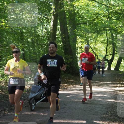 22.09.2024 - 32. Volkslauf durch das schöne Alstertal Miley Keyser http://msf.ph/oto/7134871 22.09.2024 10:52:10 Laufen 3121, 3233 meine-sportfotos.de