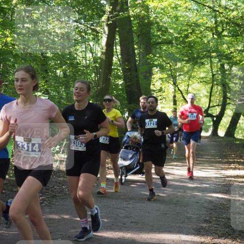 22.09.2024 - 32. Volkslauf durch das schöne Alstertal Miley Keyser http://msf.ph/oto/7134873 22.09.2024 10:52:09 Laufen 330, 3314, 3305, 233, 3121, 3373, 8 meine-sportfotos.de