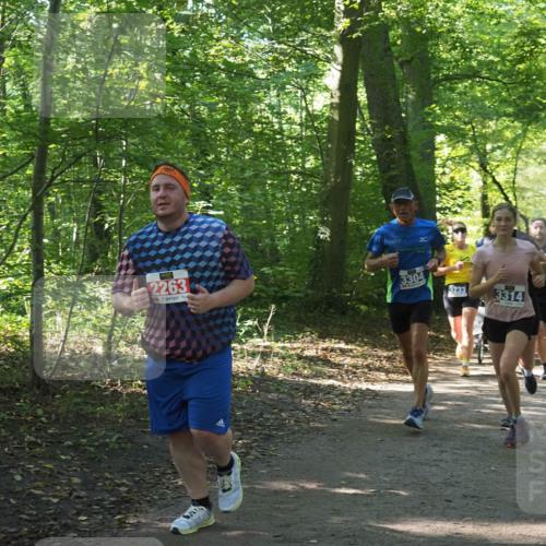 22.09.2024 - 32. Volkslauf durch das schöne Alstertal Miley Keyser http://msf.ph/oto/7134878 22.09.2024 10:52:08 Laufen 2263, 3304, 3233, 3314, 3373 meine-sportfotos.de