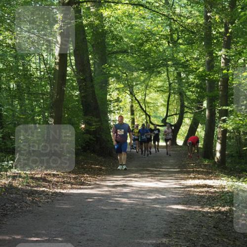 22.09.2024 - 32. Volkslauf durch das schöne Alstertal Miley Keyser http://msf.ph/oto/7134889 22.09.2024 10:52:01 Laufen 2263 meine-sportfotos.de