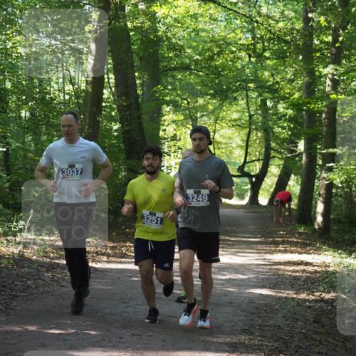 22.09.2024 - 32. Volkslauf durch das schöne Alstertal Miley Keyser http://msf.ph/oto/7134891 22.09.2024 10:51:56 Laufen 3037, 3251, 3249 meine-sportfotos.de