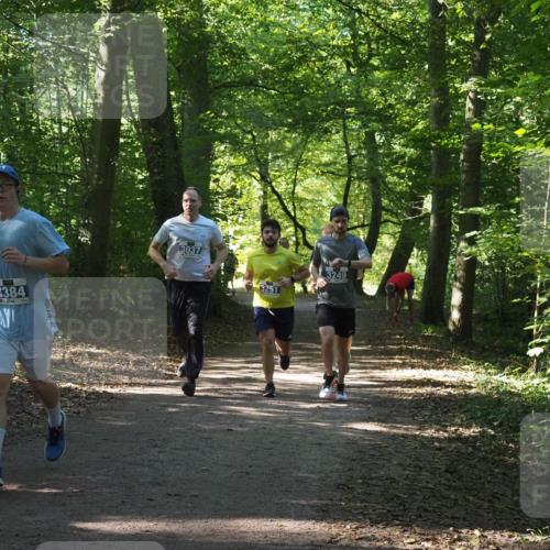 22.09.2024 - 32. Volkslauf durch das schöne Alstertal Miley Keyser http://msf.ph/oto/7134899 22.09.2024 10:51:54 Laufen 3384, 3037, 3251, 3249 meine-sportfotos.de