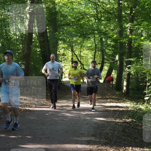 22.09.2024 - 32. Volkslauf durch das schöne Alstertal Miley Keyser http://msf.ph/oto/7134900 22.09.2024 10:51:54 Laufen 3384, 3037, 3251, 3249 meine-sportfotos.de