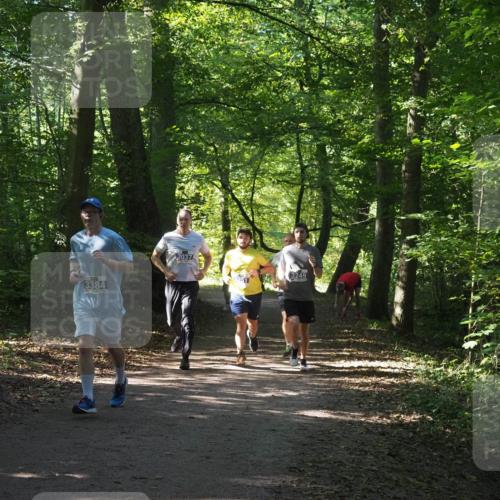 22.09.2024 - 32. Volkslauf durch das schöne Alstertal Miley Keyser http://msf.ph/oto/7134903 22.09.2024 10:51:54 Laufen 3384, 3037, 3249 meine-sportfotos.de