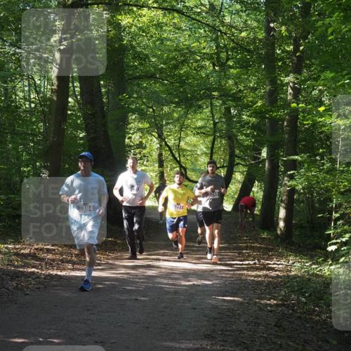 22.09.2024 - 32. Volkslauf durch das schöne Alstertal Miley Keyser http://msf.ph/oto/7134904 22.09.2024 10:51:53 Laufen 3384, 251, 3249 meine-sportfotos.de