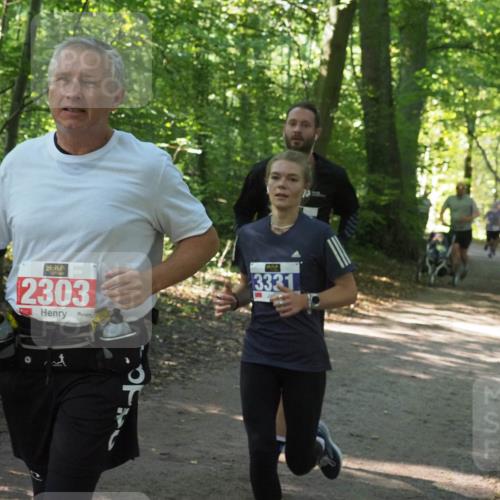 22.09.2024 - 32. Volkslauf durch das schöne Alstertal Miley Keyser http://msf.ph/oto/7134919 22.09.2024 10:51:41 Laufen 2303, 3331 meine-sportfotos.de