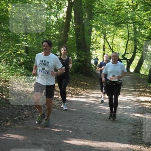22.09.2024 - 32. Volkslauf durch das schöne Alstertal Miley Keyser http://msf.ph/oto/7134924 22.09.2024 10:51:38 Laufen 3397, 2303 meine-sportfotos.de