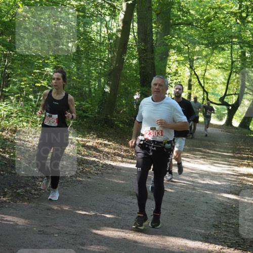 22.09.2024 - 32. Volkslauf durch das schöne Alstertal Miley Keyser http://msf.ph/oto/7134925 22.09.2024 10:51:39 Laufen 2095, 2303 meine-sportfotos.de
