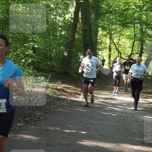 22.09.2024 - 32. Volkslauf durch das schöne Alstertal Miley Keyser http://msf.ph/oto/7134931 22.09.2024 10:51:37 Laufen 3958, 3240, 2303 meine-sportfotos.de