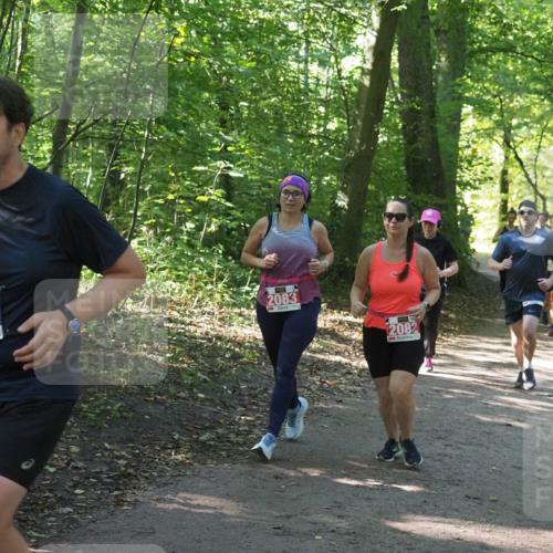 22.09.2024 - 32. Volkslauf durch das schöne Alstertal Miley Keyser http://msf.ph/oto/7134938 22.09.2024 10:51:32 Laufen 3266, 2083, 2082 meine-sportfotos.de