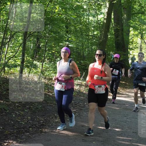 22.09.2024 - 32. Volkslauf durch das schöne Alstertal Miley Keyser http://msf.ph/oto/7134939 22.09.2024 10:51:33 Laufen 083, 2082, 1958 meine-sportfotos.de