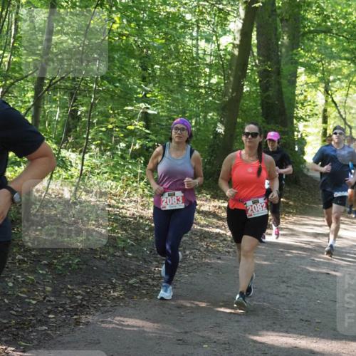 22.09.2024 - 32. Volkslauf durch das schöne Alstertal Miley Keyser http://msf.ph/oto/7134940 22.09.2024 10:51:32 Laufen 56, 2083, 2082 meine-sportfotos.de
