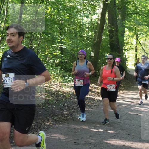 22.09.2024 - 32. Volkslauf durch das schöne Alstertal Miley Keyser http://msf.ph/oto/7134941 22.09.2024 10:51:32 Laufen 3266, 2083, 2082 meine-sportfotos.de