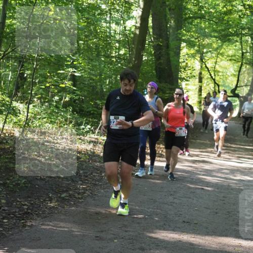 22.09.2024 - 32. Volkslauf durch das schöne Alstertal Miley Keyser http://msf.ph/oto/7134943 22.09.2024 10:51:31 Laufen 32, 5483, 2082 meine-sportfotos.de