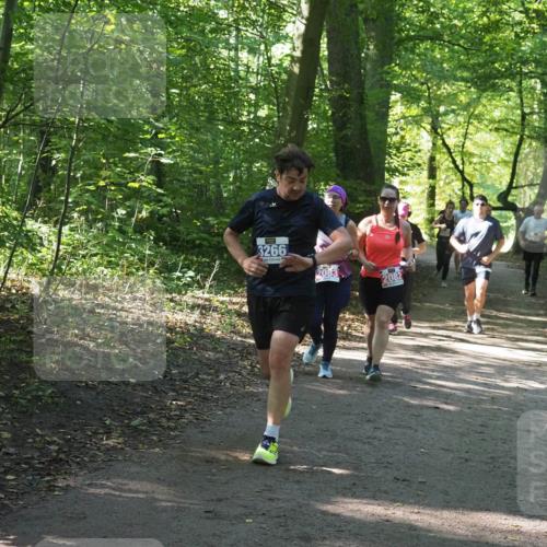22.09.2024 - 32. Volkslauf durch das schöne Alstertal Miley Keyser http://msf.ph/oto/7134944 22.09.2024 10:51:31 Laufen 3266, 2083, 2082 meine-sportfotos.de