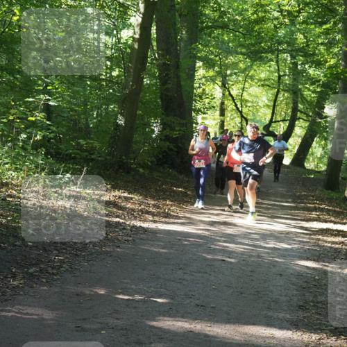 22.09.2024 - 32. Volkslauf durch das schöne Alstertal Miley Keyser http://msf.ph/oto/7134945 22.09.2024 10:51:28 Laufen 2083 meine-sportfotos.de