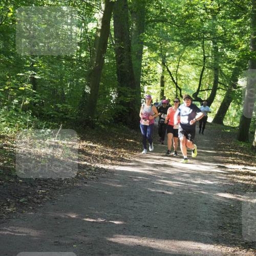 22.09.2024 - 32. Volkslauf durch das schöne Alstertal Miley Keyser http://msf.ph/oto/7134948 22.09.2024 10:51:28 Laufen 2083 meine-sportfotos.de